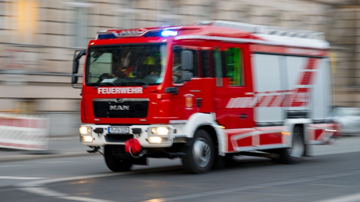 Für die Feuerwehr war es in Sondershausen zu einem ungewöhnlichen Einsatz gekommen. Ein Schwan hatte sich eine Kleingartenanlage für seine Landung ausgesucht. Zum Landen reichte die Fläche einer Parzelle noch aus. Doch der Schwan konnte nicht mehr starten. Um dem Bruchpiloten aus seiner Not zu helfen, habe sich die Feuerwehr Zugang zum Gartengrundstück verschafft. Nachdem der Schwan befreit war, konnte dieser seinen Flug fortsetzen.