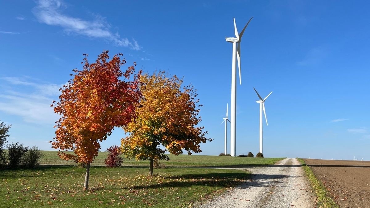 Falk Freytag hat dieses Foto auf seinen wöchentlichen Fahrradtouren gemacht.