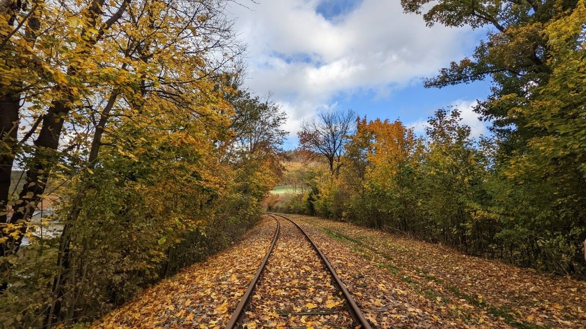 Michael Stollberg fotografierte auf einer Draisinefahrt von Lengenfeld unterm Stein nach Dingelstädt.