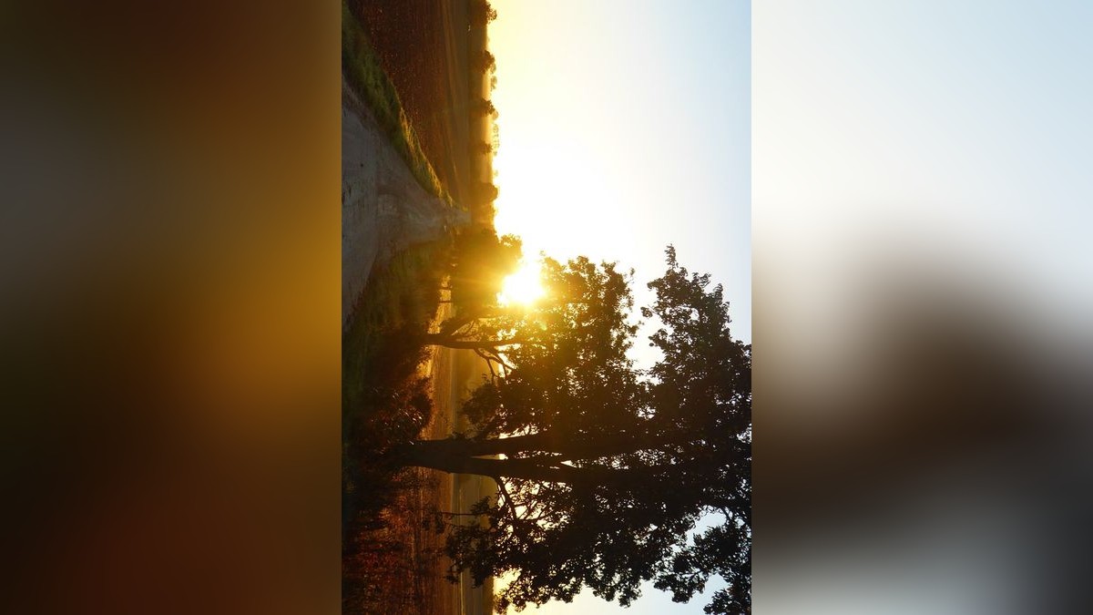 Von Cornelius Ludwig stammt dieses Herbstfoto. Er war morgens zwischen Oberdorla und Mühlhausen, sowie am Nachmittag in der Umgebung von Nazza unterwegs.