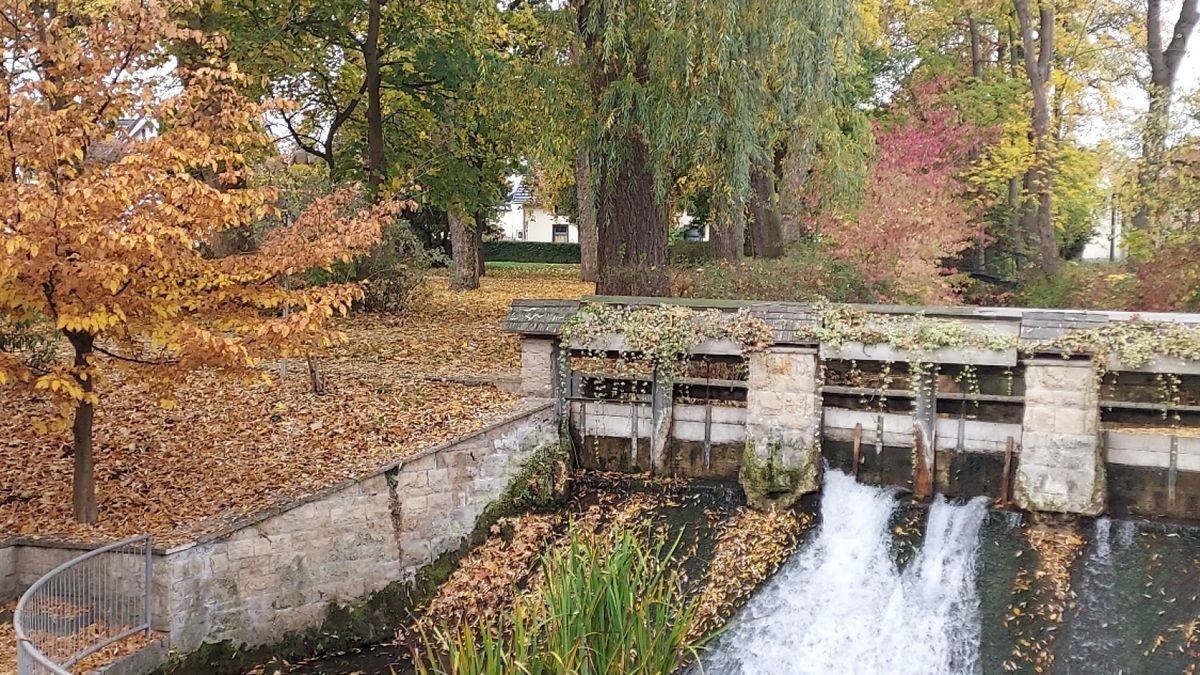 Matthias Schörnig aus Mühlhausen hat dieses Herbstfoto eingesandt.