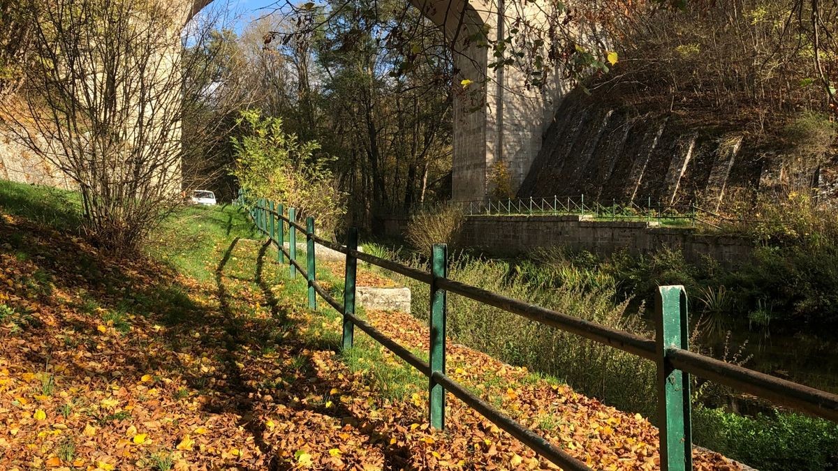 Ingrid Ahl aus Lengefeld hat die Herbststimmung im Reiserschen Tal festgehalten.