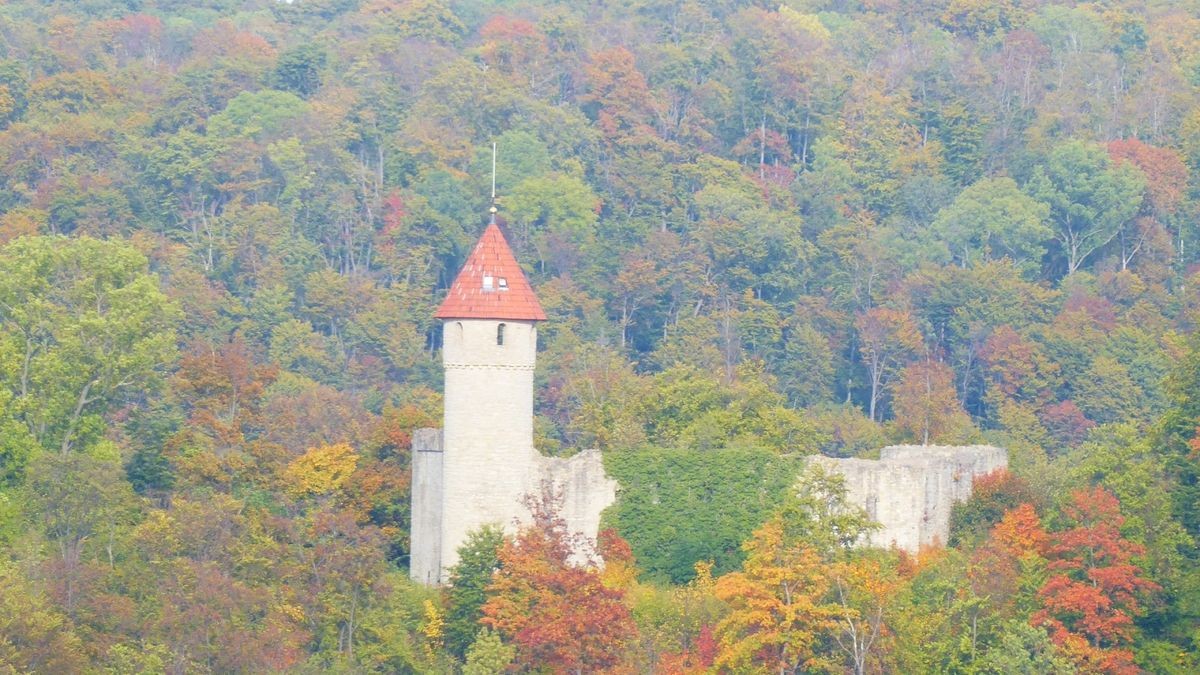 Von Cornelius Ludwig stammt dieses Herbstfoto. Er war morgens zwischen Oberdorla und Mühlhausen, sowie am Nachmittag in der Umgebung von Nazza unterwegs.