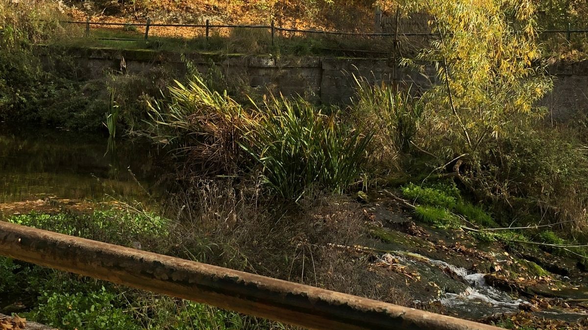 Ingrid Ahl aus Lengefeld hat die Herbststimmung im Reiserschen Tal festgehalten.