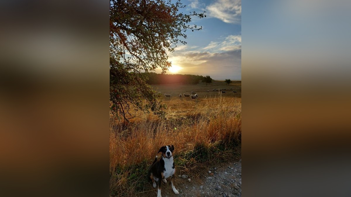 Sandra Gassmann aus Bickenriede schickte uns dieses Herbstfoto.