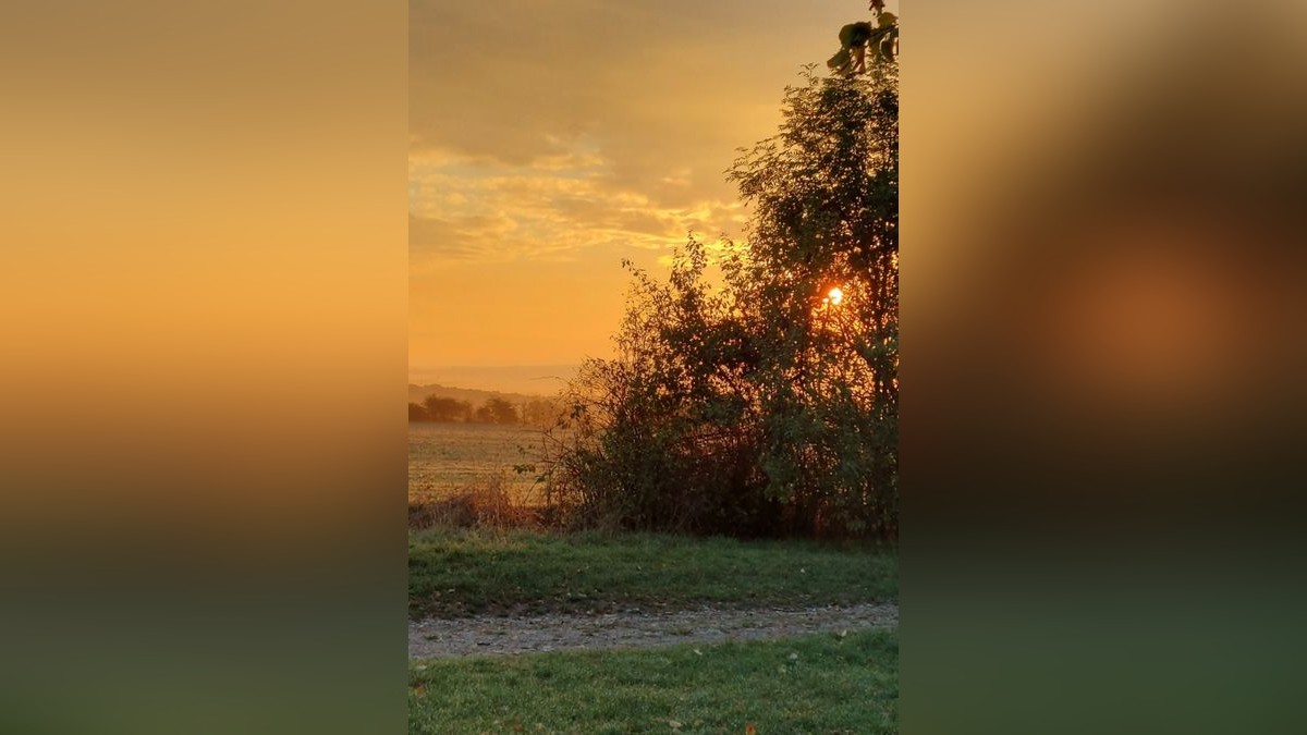 Sandra Gassmann aus Bickenriede schickte uns dieses Herbstfoto.