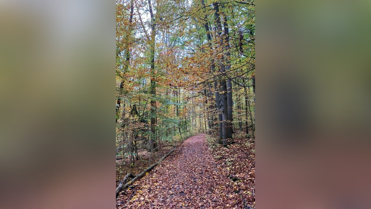 Susan Kaminsky schickte uns dieses Herbstfoto.