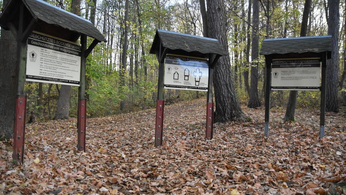 Der Walpurgisberg bei Arnstadt wurde schon zur Bronzezeit besiedelt.