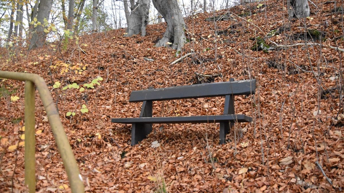 Der Walpurgisberg bei Arnstadt wurde schon zur Bronzezeit besiedelt.