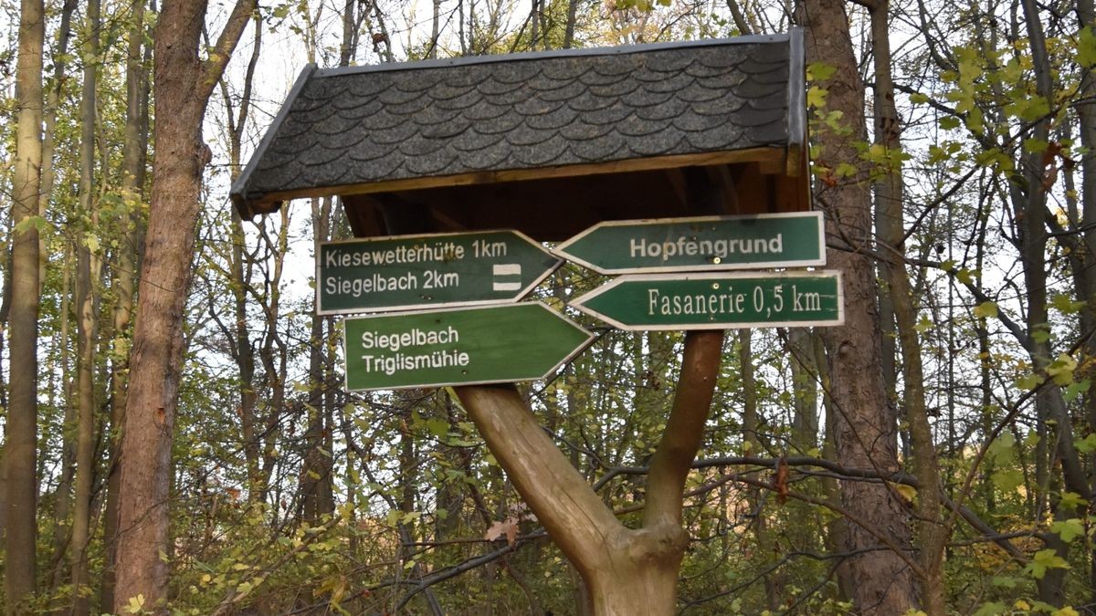 Der Walpurgisberg bei Arnstadt wurde schon zur Bronzezeit besiedelt.