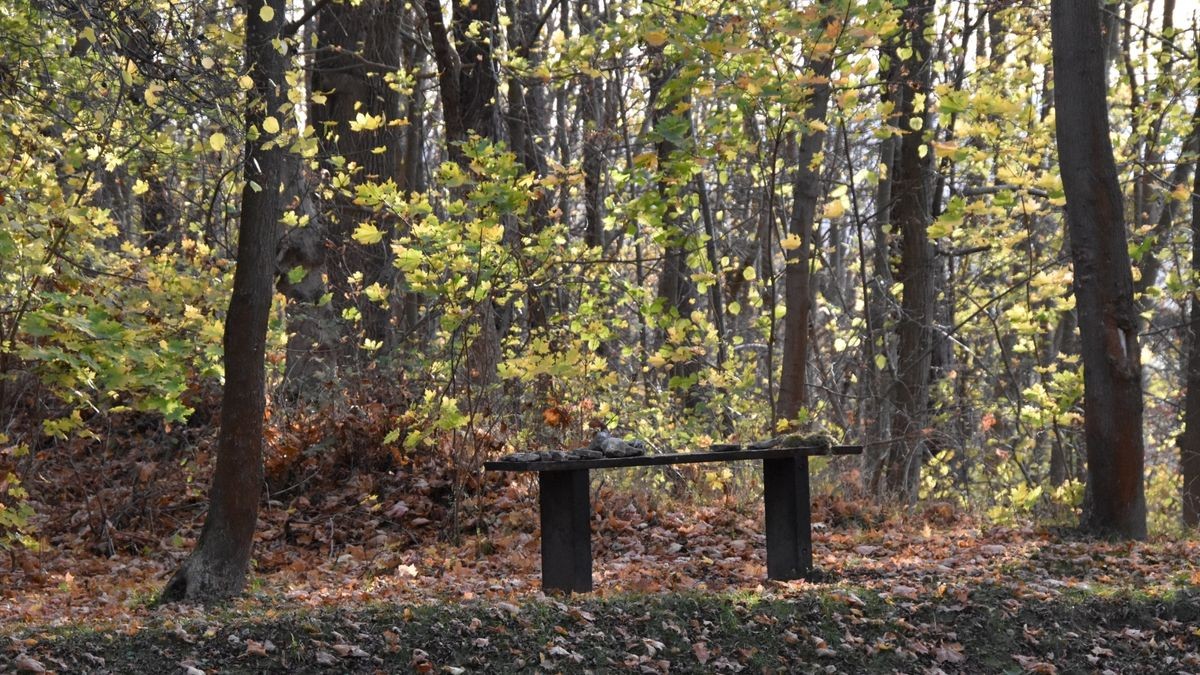 Der Walpurgisberg bei Arnstadt wurde schon zur Bronzezeit besiedelt.