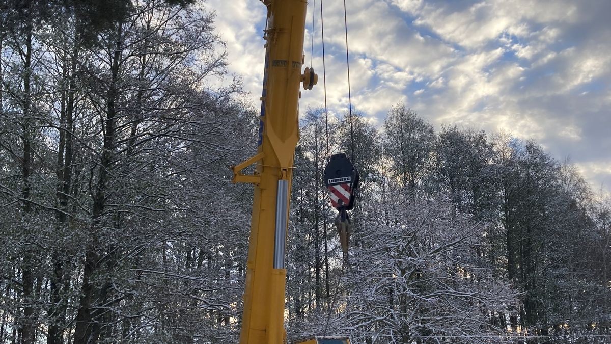 Zum achten Mal in Folge schmückt ein Weihnachtsbaum aus Thüringen das Brandenburger Tor. In diesem Jahr kommt er aus der Gemeinde Lederhose.