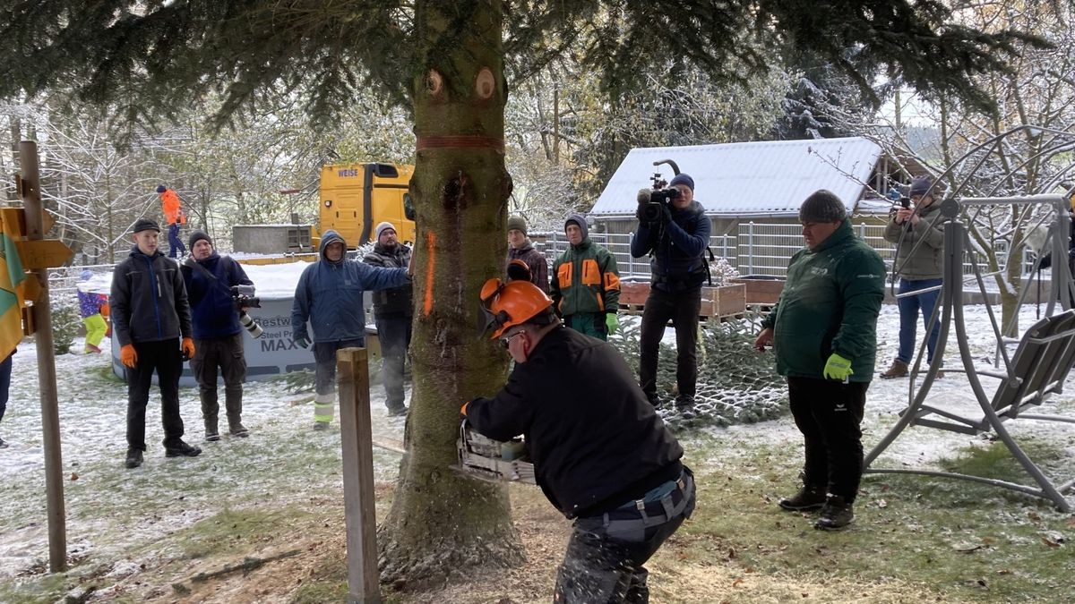 Zum achten Mal in Folge schmückt ein Weihnachtsbaum aus Thüringen das Brandenburger Tor. In diesem Jahr kommt er aus der Gemeinde Lederhose.