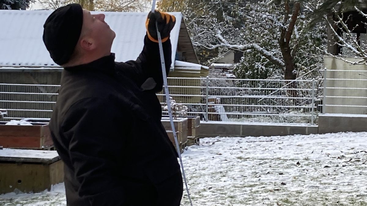 Zum achten Mal in Folge schmückt ein Weihnachtsbaum aus Thüringen das Brandenburger Tor. In diesem Jahr kommt er aus der Gemeinde Lederhose.