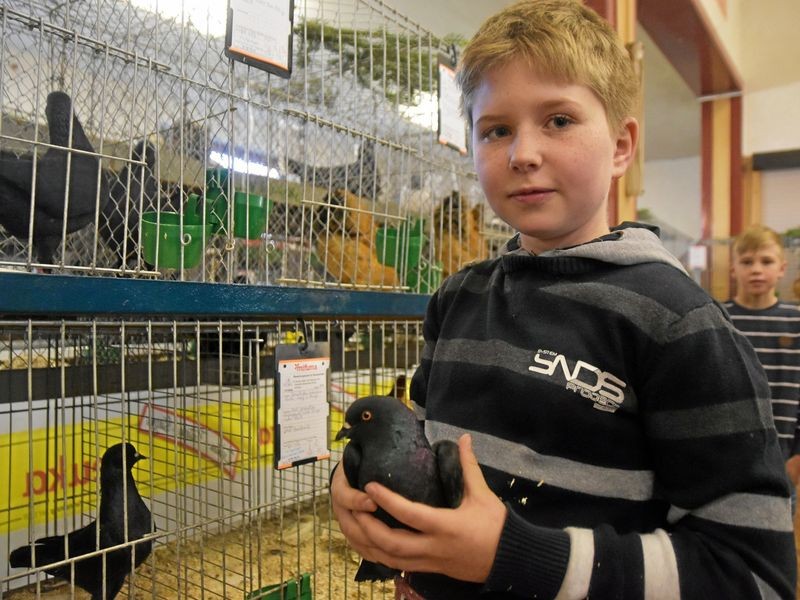 Geflügelschau in Peuschen zum 60. Vereinsgeburtstag