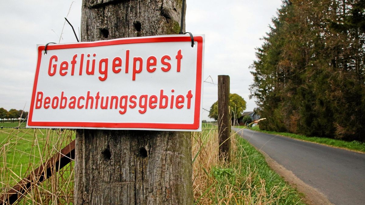 Ein Schild weist auf ein Geflügelpest-Beaobachtungsgebiet hin (Symbolfoto).