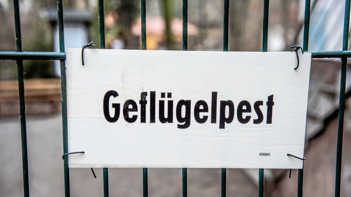 2017 war die Geflügelpest im Tierpark Gotha ausgebrochen und hatte Opfer unter den Bewohnern gefordert (Archiv-Foto).