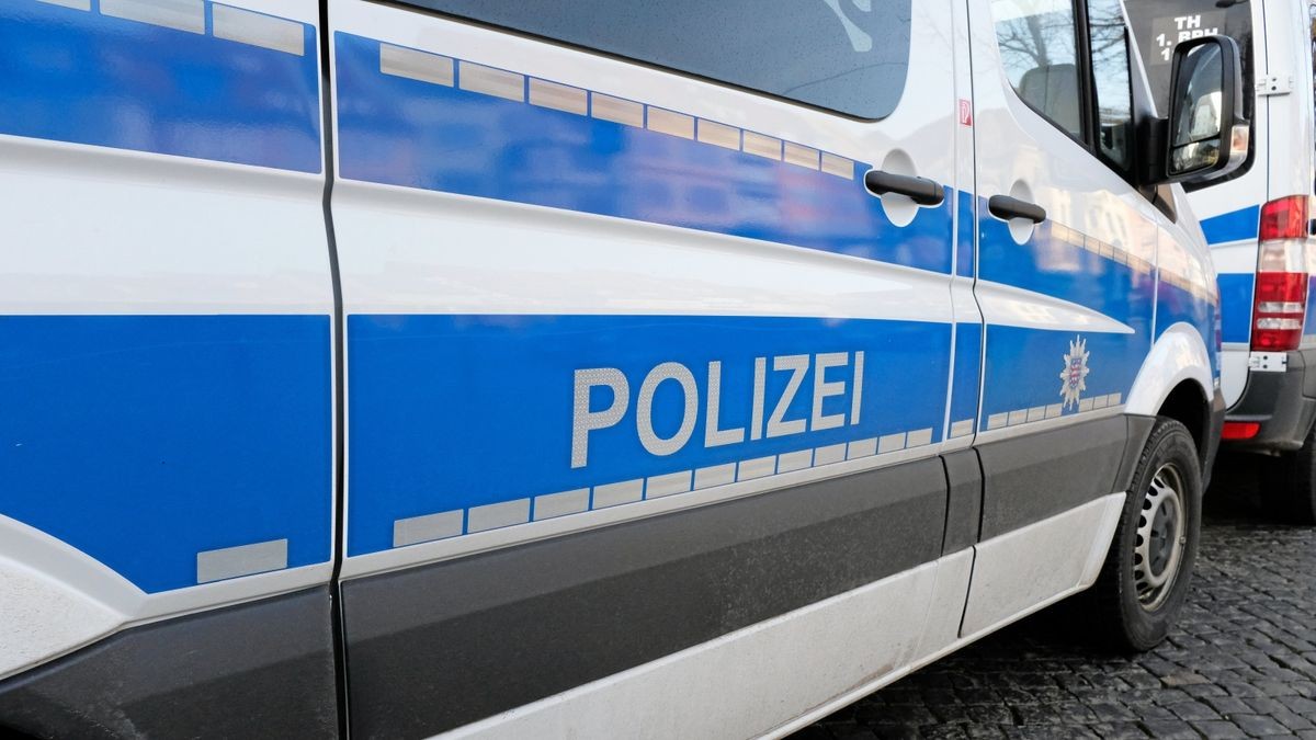 Aktuell wertet die Polizei Videoaufzeichnungen aus. Inwieweit die Pony-Stute durch die sexuellen Handlungen verletzt wurde, ist bislang nicht bekannt. (Symbolbild)