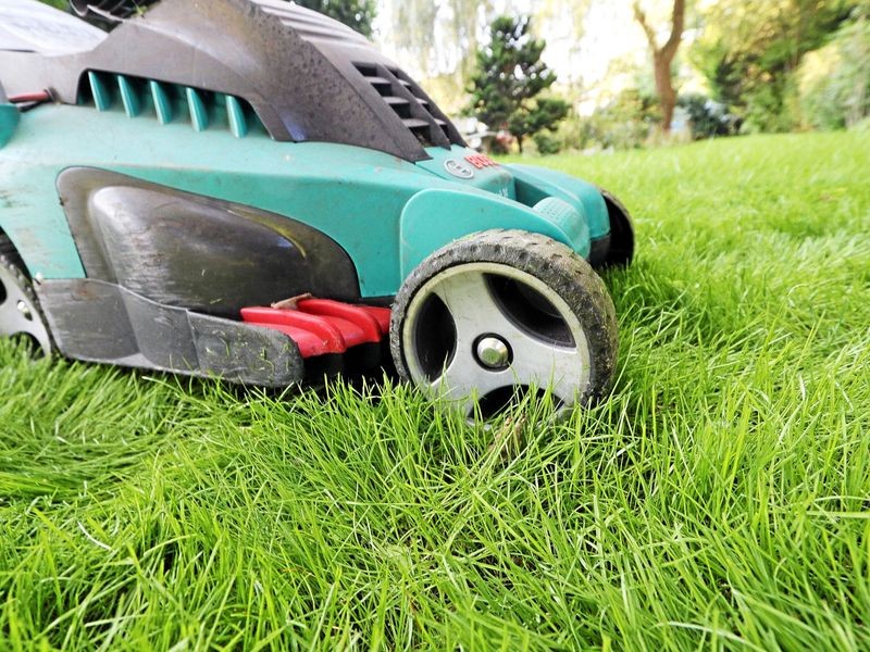 Freiwillige für den Naturschutz im Landkreis Greiz gesucht