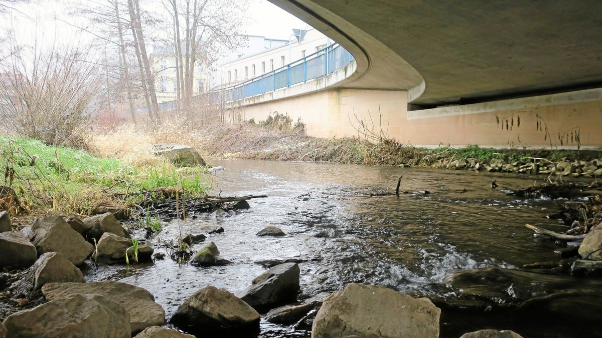 Blick auf die Sprotte in Schmölln am 18. Januar 2023