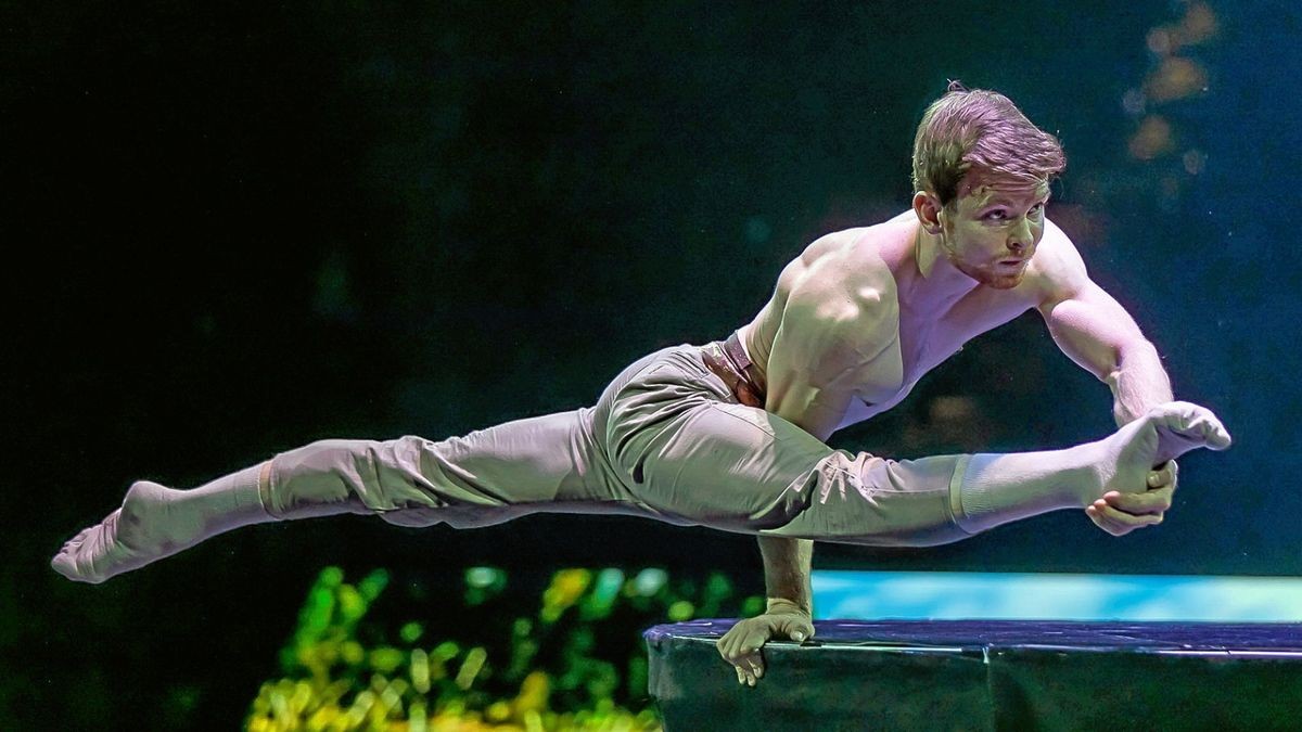 Feuerwerk der Turnkunst Braunschweig Grandiose Show begeistert