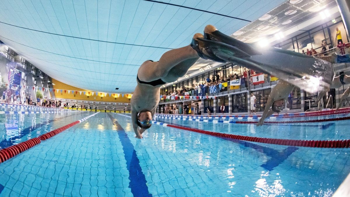 Abgetaucht und mit Edelmetall wieder aufgetaucht: Fynn Hannemann vom Tauchsportclub Erfurt holte einmal Gold und zweimal Bronze.