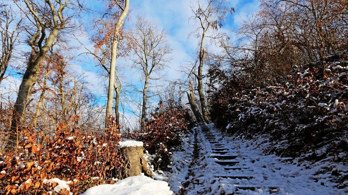 Die Sage von der Jungfrau vom Spatenberg bei Sondershausen. Niedergeschrieben von Heinrich Doering 1840. Beschwerlich führt der Weg über eine Schlucht, Treppen nach oben zur sagenumwobenen Jungfrauen Höhle und dem darüber thronenden Spatenbergturm.