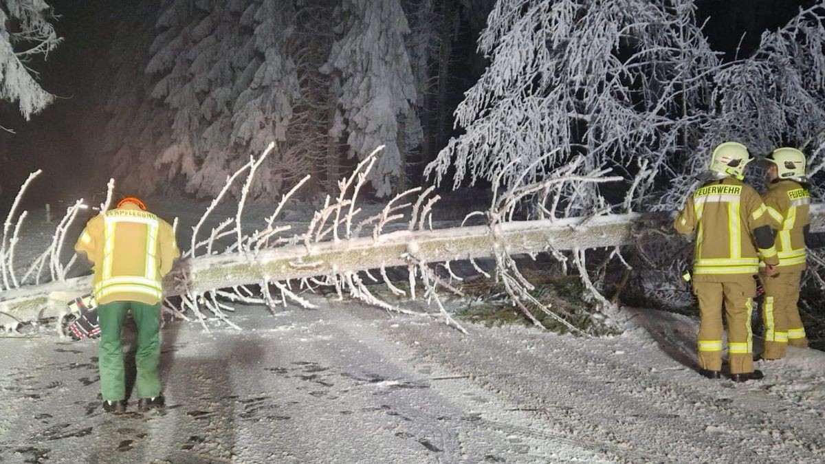 Die hohe Schnee- und Eislast auf Bäumen sorgen derzeit für große Gefahr in Thüringen. Besonders der Landkreis Gotha ist betroffen. Die Feuerwehren sind in der Nacht von Freitag auf Samstag (28.01.23) bereits mehrmals im Einsatz gewesen, um umgestürzte Bäume von Straßen zu entfernen. Mehrere Straßen und Wege mussten gesperrt werden. „Aufgrund der Last der Bäume und der Bruchgefahr besteht akute Lebensgefahr,“ erklärt der Stadtbrandmeister der Freiwilligen Feuerwehr Tambach-Dietharz Steffen Fuchs. Über die sozialen Medien warnt Fuchs die Bevölkerung: „Wir haben in verschiedenen Sachen, wie Facebook oder Instagram, Posts eingestellt, um die Leute zu sensibilisieren“. Unter dem Gewicht von Eis und Schnee können jederzeit Bäume umstürzen und Äste herabfallen. Nicht nur Straßen sind gefährdet. Auch auf Wanderwegen in den Wäldern gilt für Spaziergänger Vorsicht. „Wenn ein Baum bricht, kündigt es sich durch knacken an, aber da ist es schon meistens zu spät,“ so Steffen Fuchs. „Es sind dann nur noch Bruchteile von Sekunden und die reichen meistens nicht aus, die Zeit um sich in Sicherheit zu bringen.“