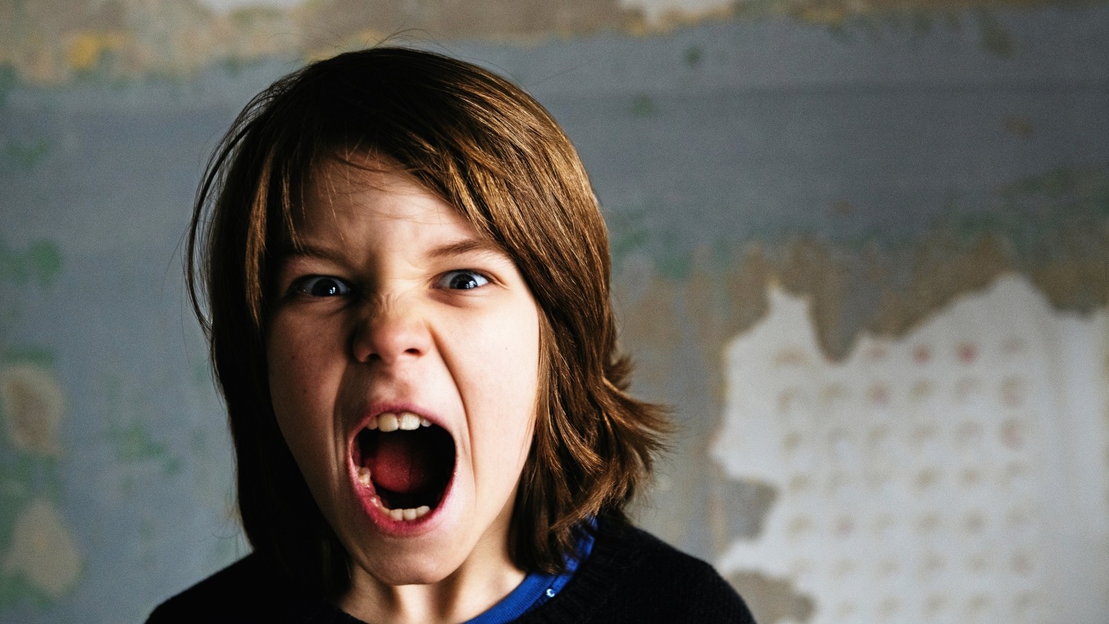 Norderstedt Hilfe! Mein Kind rastet ständig aus und jetzt?