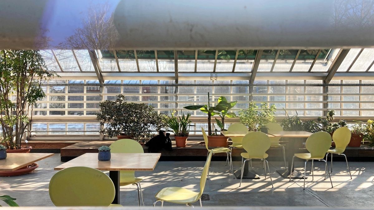 Pankow Keine Lösung für CaféProblem im Botanischen Volkspark?