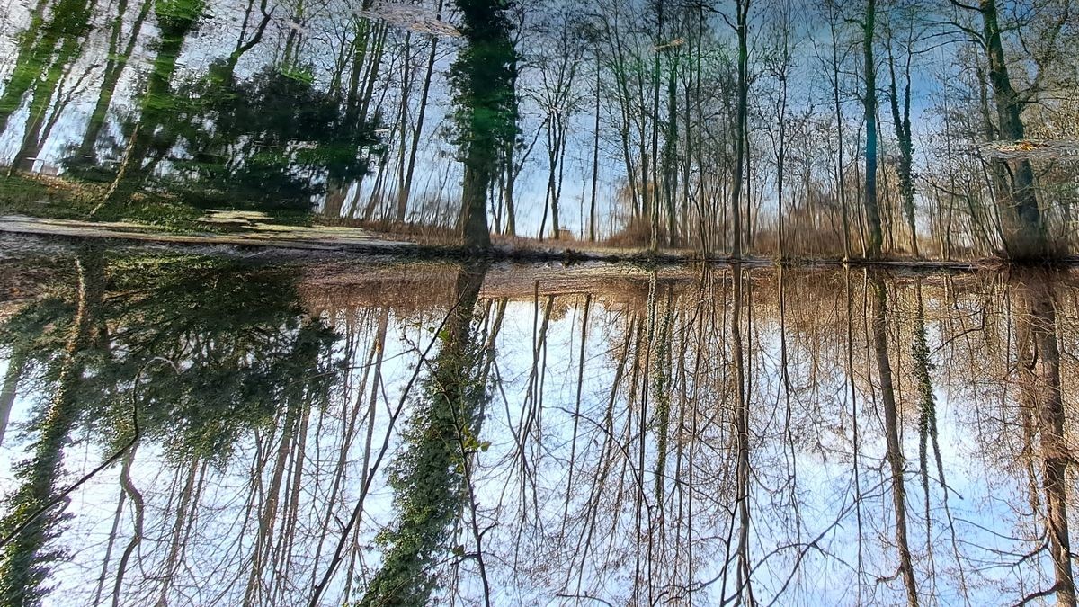 Das Gründelsloch Kindelbrück - eine Karstquelle. Auch im Winter hat das Gewässer seine Reize. Ein Moosteppich unter Wasser sorgt für ein beeindruckendes Farbenspiel.