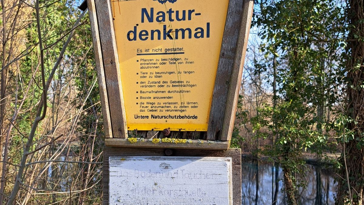 Das Gründelsloch Kindelbrück - eine Karstquelle