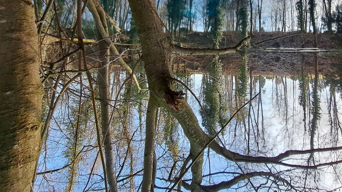 Das Gründelsloch Kindelbrück - eine Karstquelle