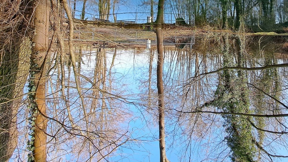 Das Gründelsloch Kindelbrück - eine Karstquelle.