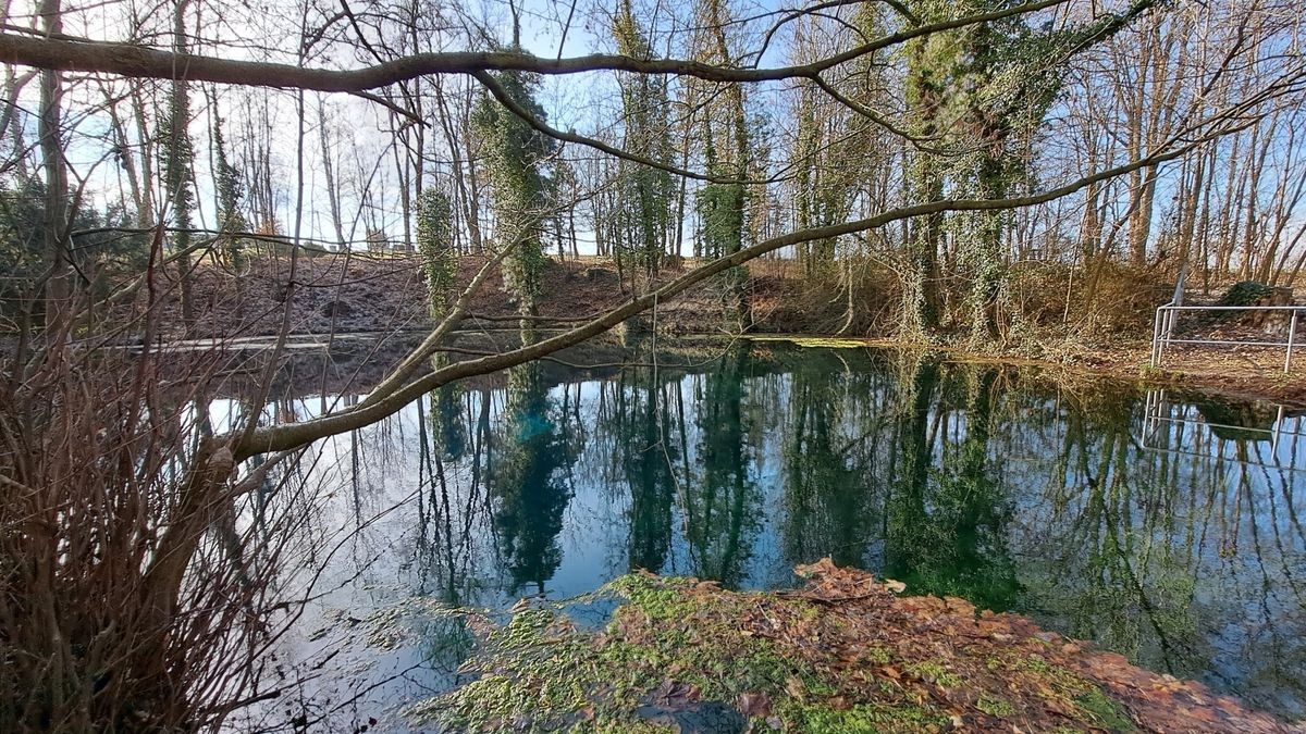 Das Gründelsloch Kindelbrück - eine Karstquelle