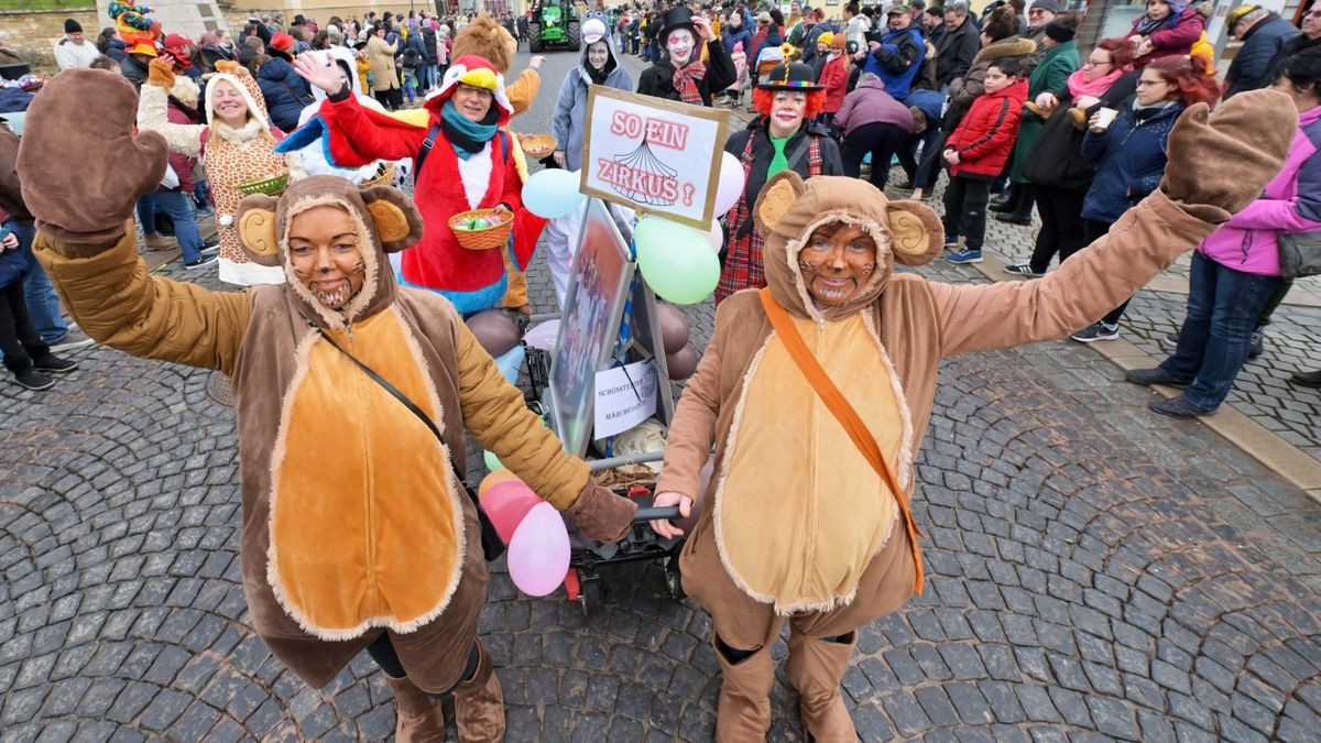 Die Bilder vom Faschingsumzug in Bad Langensalza.