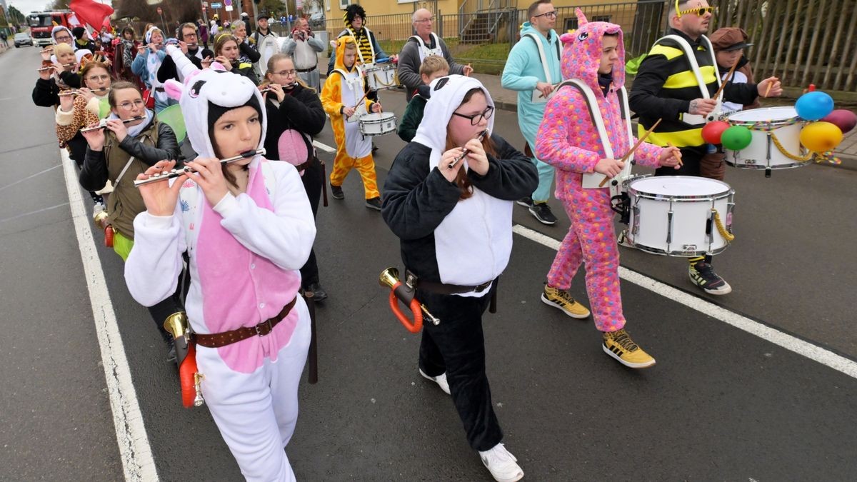 Die Bilder vom Faschingsumzug in Bad Langensalza.