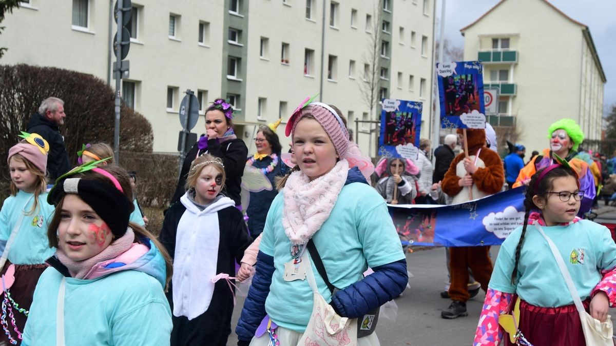 Zum Abschluss fand ein buntes Programm statt. Mit dabei waren die Karnevalsvereine Narrhalla Arnstadt, der AKC, HCV, ICV, PKC und einige Laufgruppen.