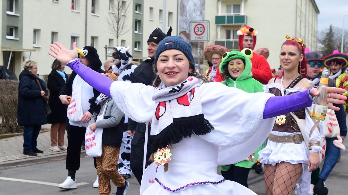 Zum Abschluss fand ein buntes Programm statt. Mit dabei waren die Karnevalsvereine Narrhalla Arnstadt, der AKC, HCV, ICV, PKC und einige Laufgruppen.