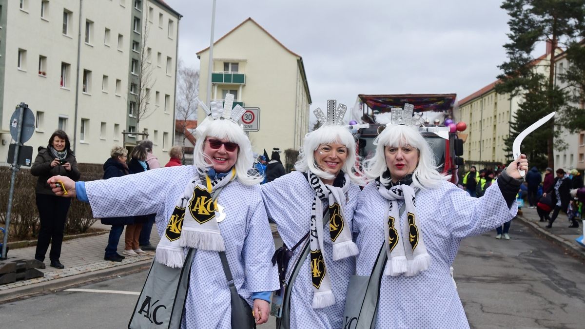 Zum Abschluss fand ein buntes Programm statt. Mit dabei waren die Karnevalsvereine Narrhalla Arnstadt, der AKC, HCV, ICV, PKC und einige Laufgruppen.