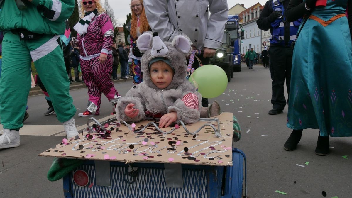 Hunderte Narren aus insgesamt 19 Vereinen Sondershausens und der Umgebung sorgten beim traditionellen Rosenmontagsumzug - dem einzigen in Nordthüringen - für gute Stimmung. Tausende Karnevalsbegeisterte säumten die Straßen und jubelten den Machern der Fünften Jahreszeit zu. Auf dem Marktplatz, dem Ziel des Umzugs, wurde dann noch ausgelassen gefeiert.