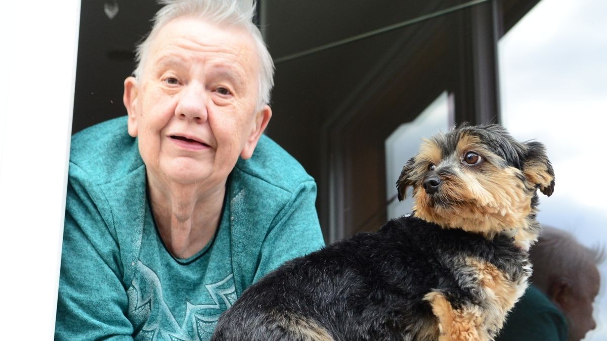 Zum 70. Vereinsgeburtstag feierten in 