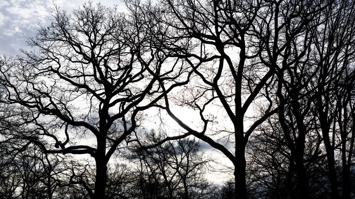 Der Winter in Thüringen war nach Angaben des Deutschen Wetterdienstes kalt und trocken. (Symbolfoto)