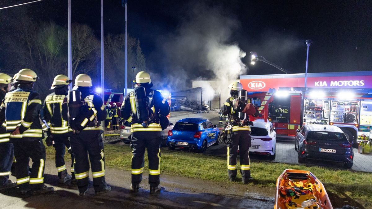 Die Feuerwehr war mit einem Großaufgebot im Einsatz. 