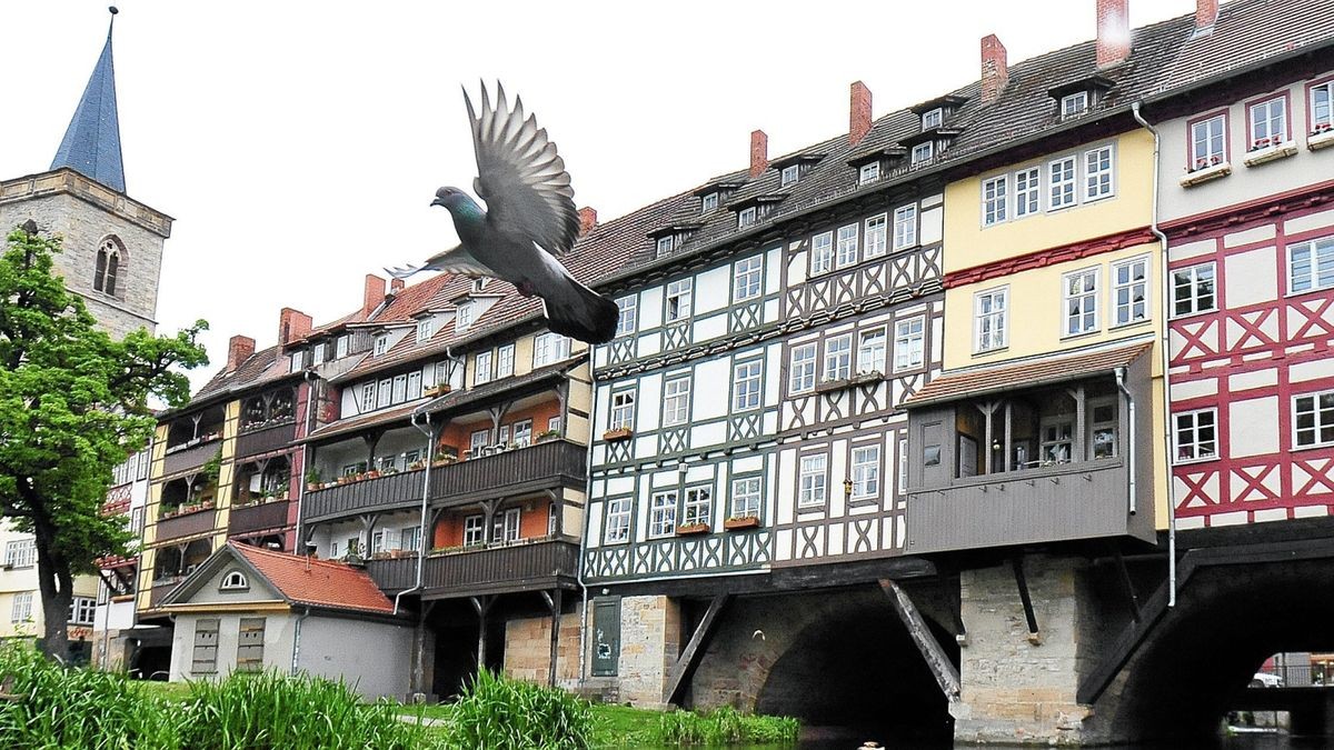 Auf der Erfurter Krämerbrücke kann man sogar wohnen. Sie ist weltberühmt, während die Camsdorfer Brücke nur in Jena bekannt ist.