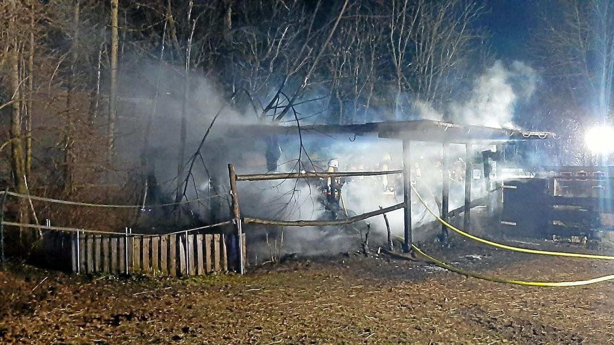 Apolda: Hilfsangebote nach Brand am Naturspielplatz überwältigen ...