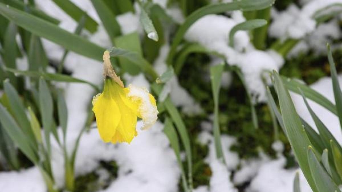 Der Frühling lässt noch auf sich warten. Das Wochenende wird in Thüringen sehr wechselhaft (Symbolbild).