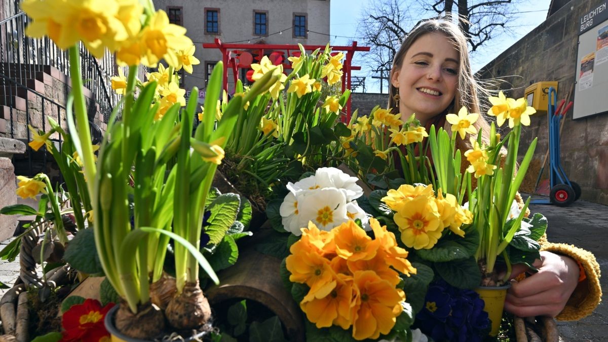 Ronja Beltermann, Touristikerin, dekoriert als Blumenmädchen die Frühjahrsblüher zum Leuchtenburger Frühlingszauber auf der Leuchtenburg. Mit dem Frühlingszauber vom 18. März bis 14. Mai 2023 startet die Leuchtenburg in die Saison. Die Burggärtnerinnen und Burgmeister haben die mittelalterliche Burganlage in eine farbenfrohe Landschaft verwandelt.