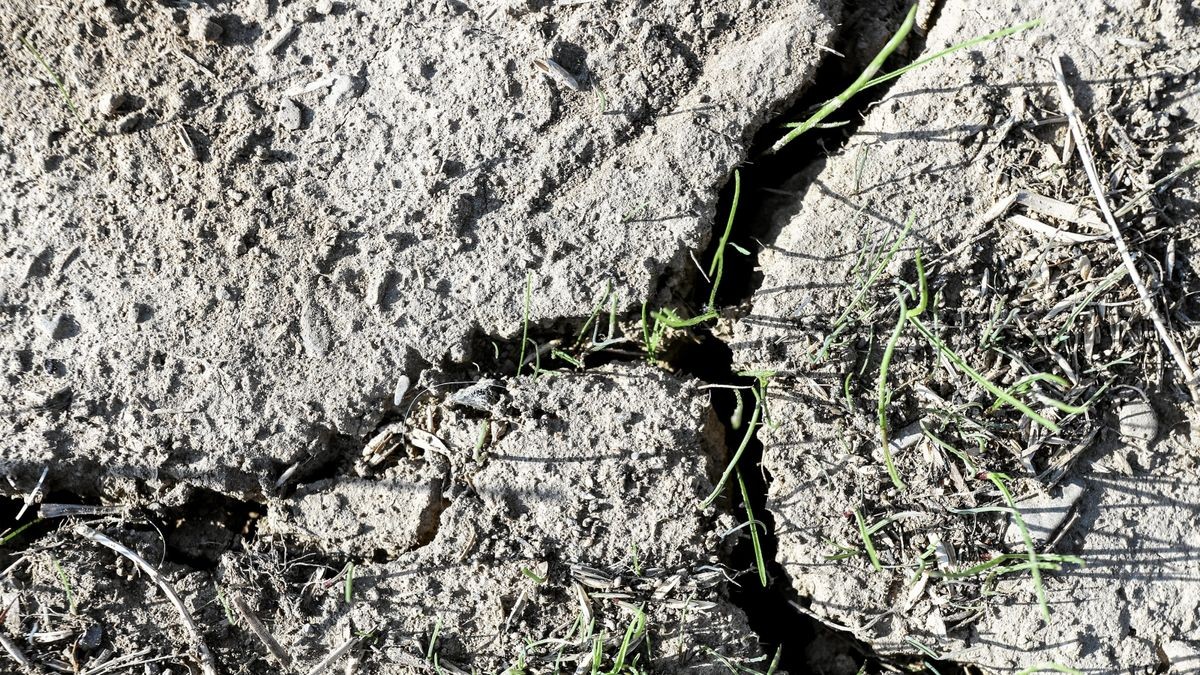 Symbolbild zum Thema starke Trockenheit im Siegerland. Ausgetrockneter Boden mit Rissen, Aufgerissen Fruehling im Siegerland am 11.05.2022 in Siegen/Deutschland.