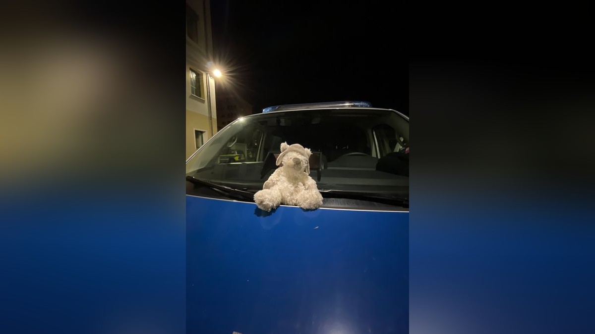 Der kleine weiße Teddy vermisst seinen Kuschelfreund. Er kann bei der Polizei in Sondershausen abgeholt werden.